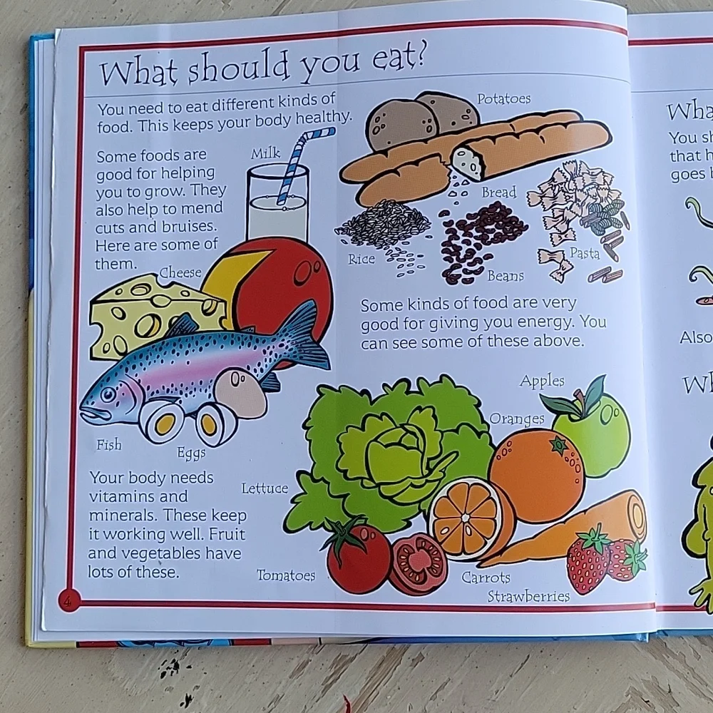 The Usborne Flip-Flap Body Book - Picture 4 of 11